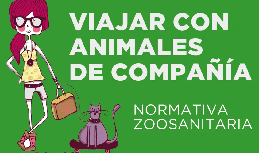 Recomendaciones para viajar con mascotas (perros, gatos o hurones) de manera segura